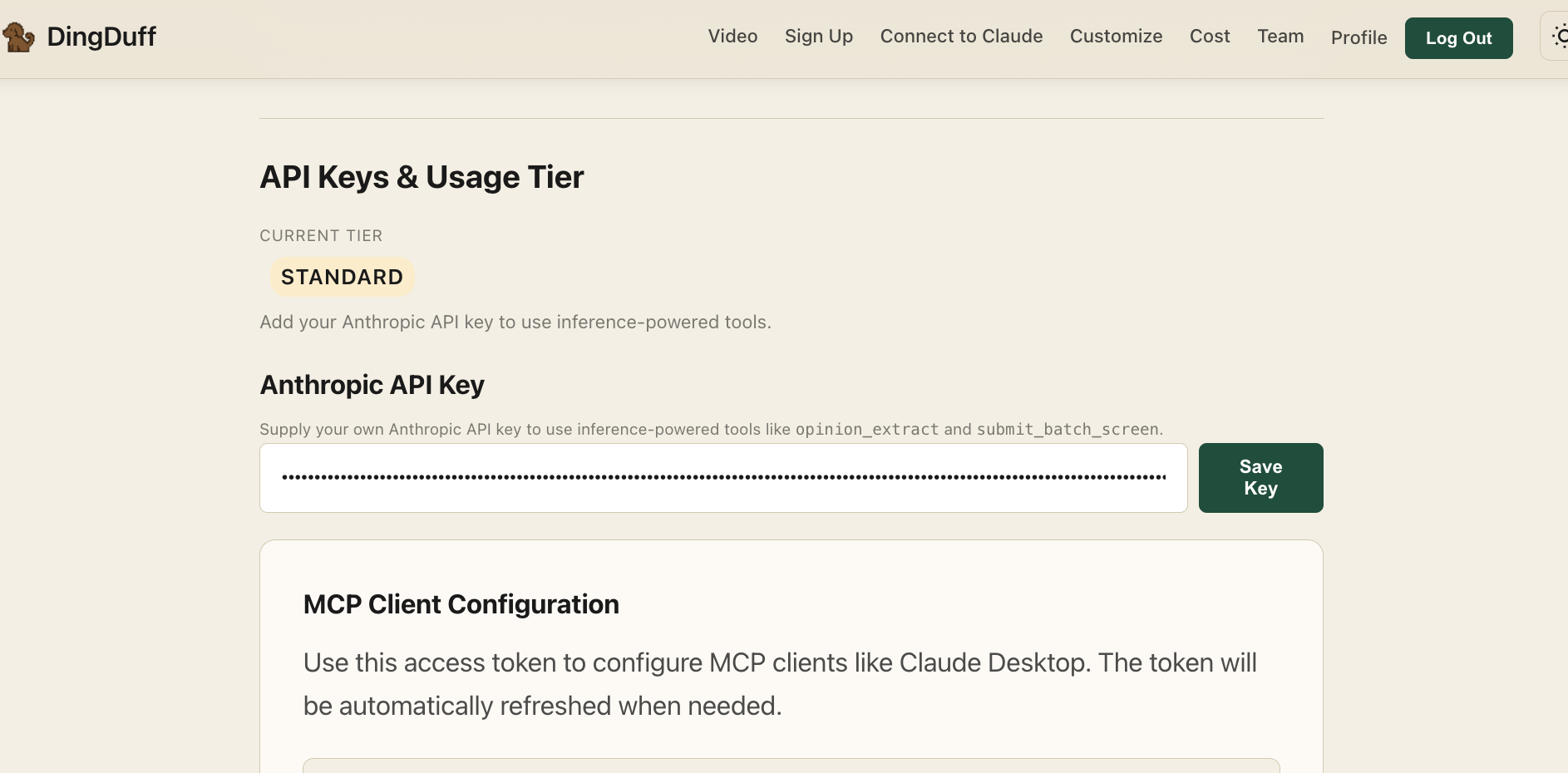 API key setup in Claude